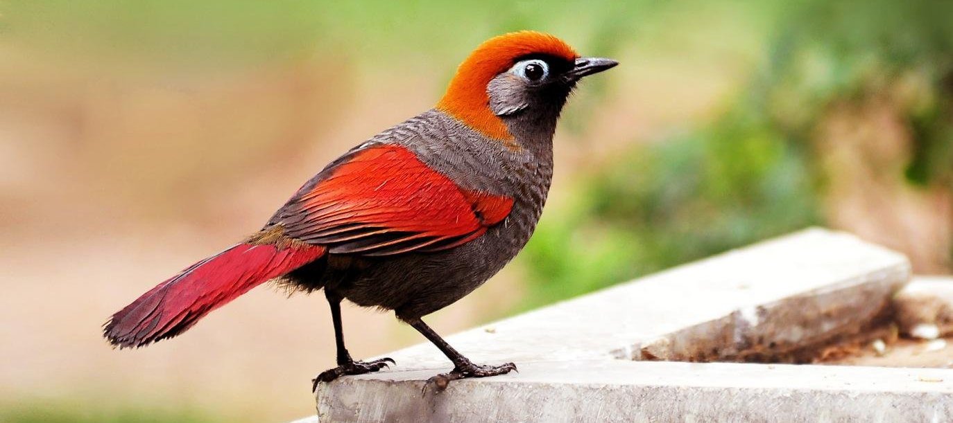 ��β���̵�ͼƬ