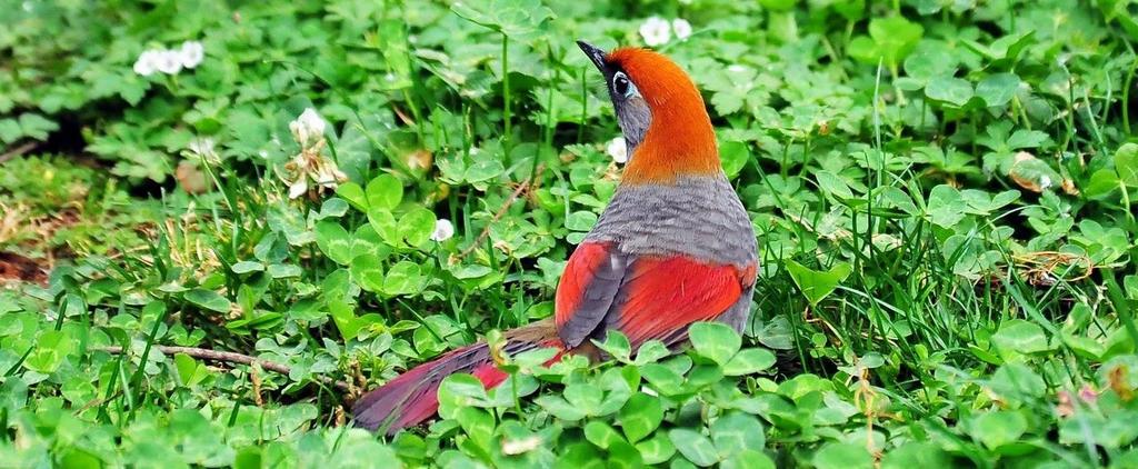 ��β���̡����ߣ���ٸ��