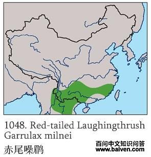 ��β����