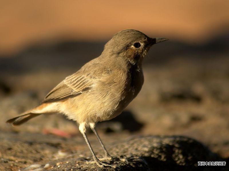 ��β���S��ͼƬ