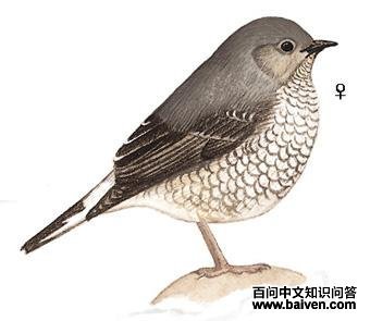 ��βˮ𶣺��̬����ͼ