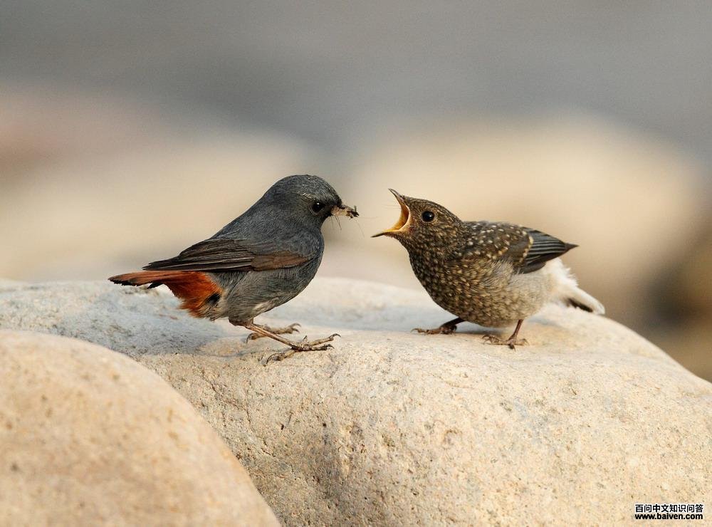 ��βˮ�����������������Ӱ�ϵ�