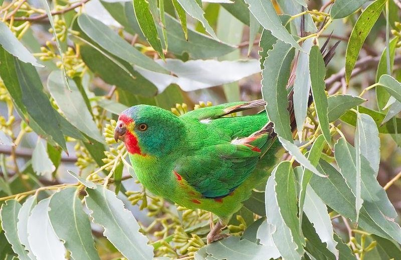 ��β�����ĵ�ͼƬ