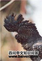 ��β�ڷ�ͷ����