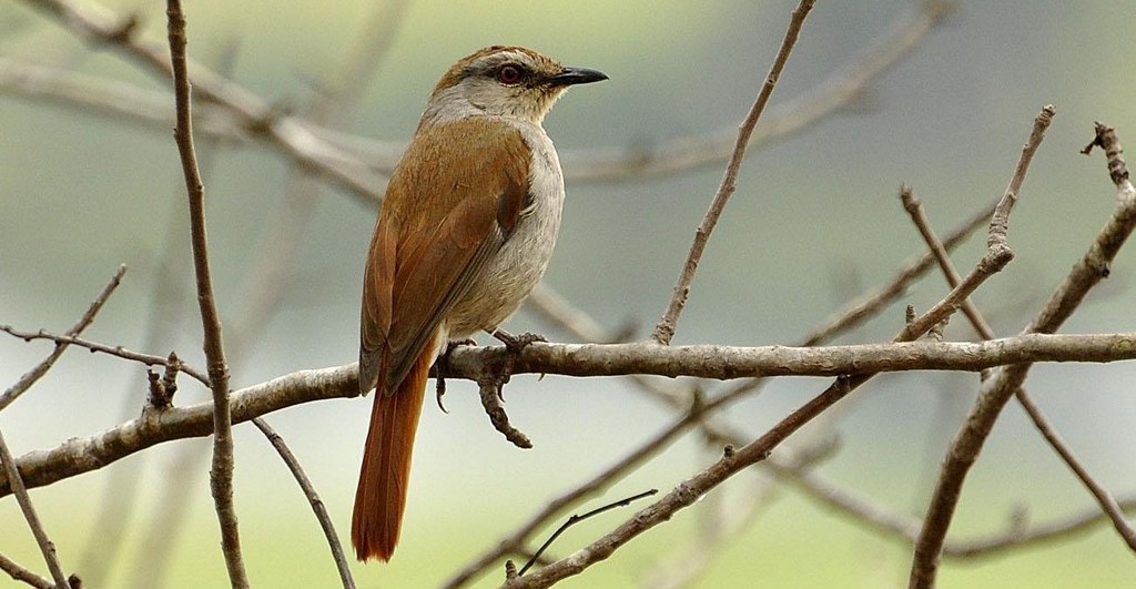 ��β����ͼƬ