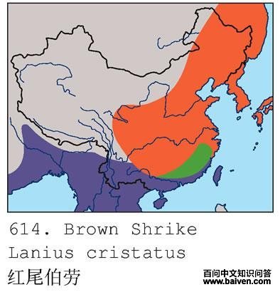 ��β���ͣ������ֲ�ͼ