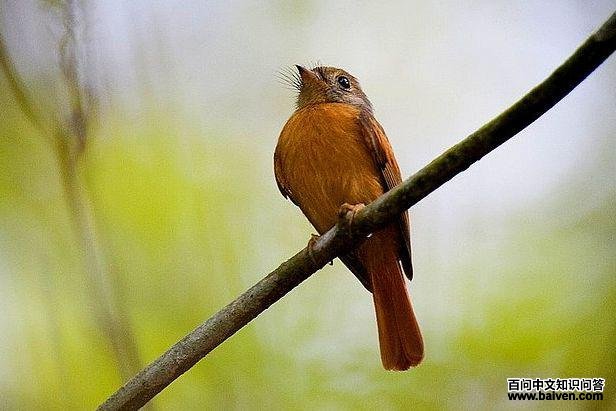 ��β���l��ͼƬ