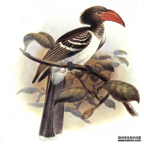 ������Ϭ��