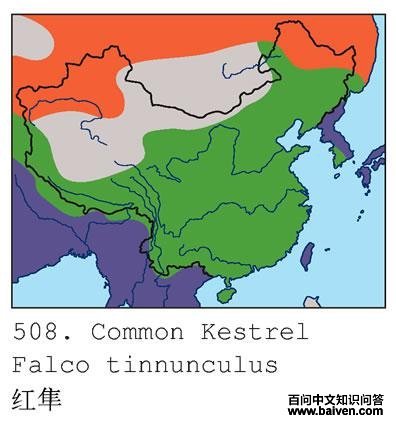 �����������ֲ�ͼ