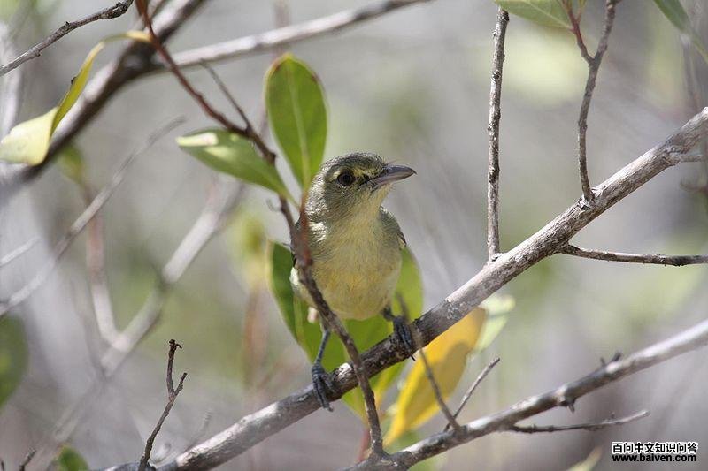 ����ݺȸ��ͼƬ