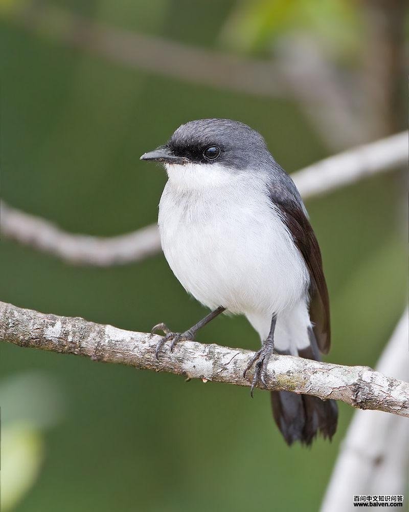 ������l��ͼƬ