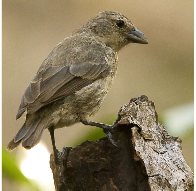 ��������ȸ��ͼƬ