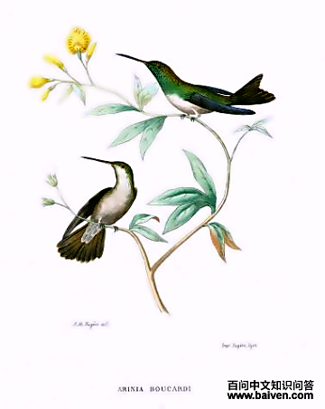 �����ַ����ͼƬ