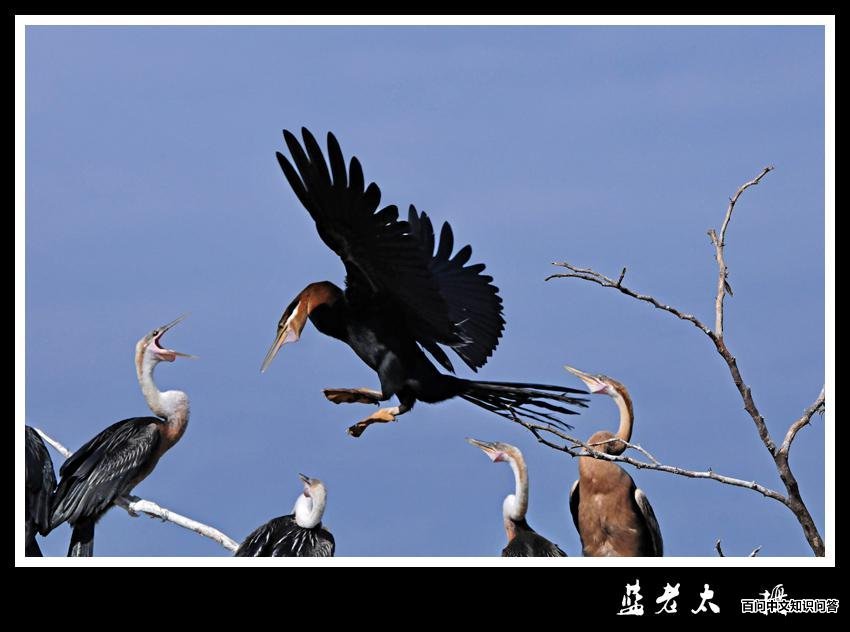 �����õ�ͼƬ