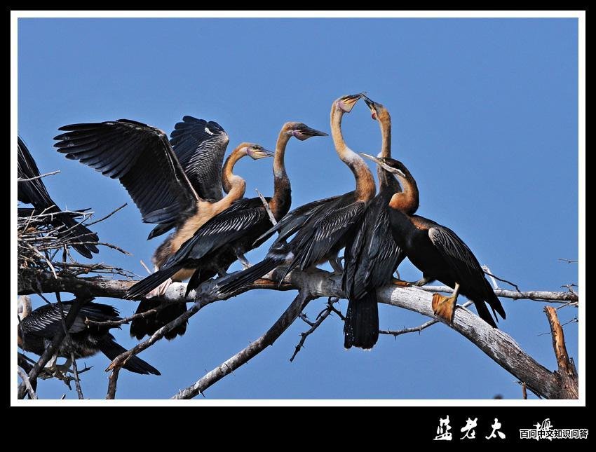 �����ã��������ã�����������̫��2010-08-13�����ڶ��ǡ�