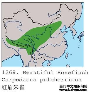 ��ü��ȸ�����ֲ�ͼ