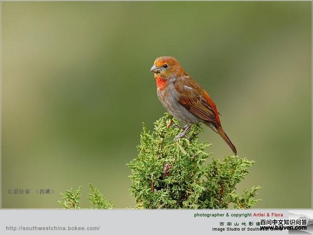 ��ü��ȸ������