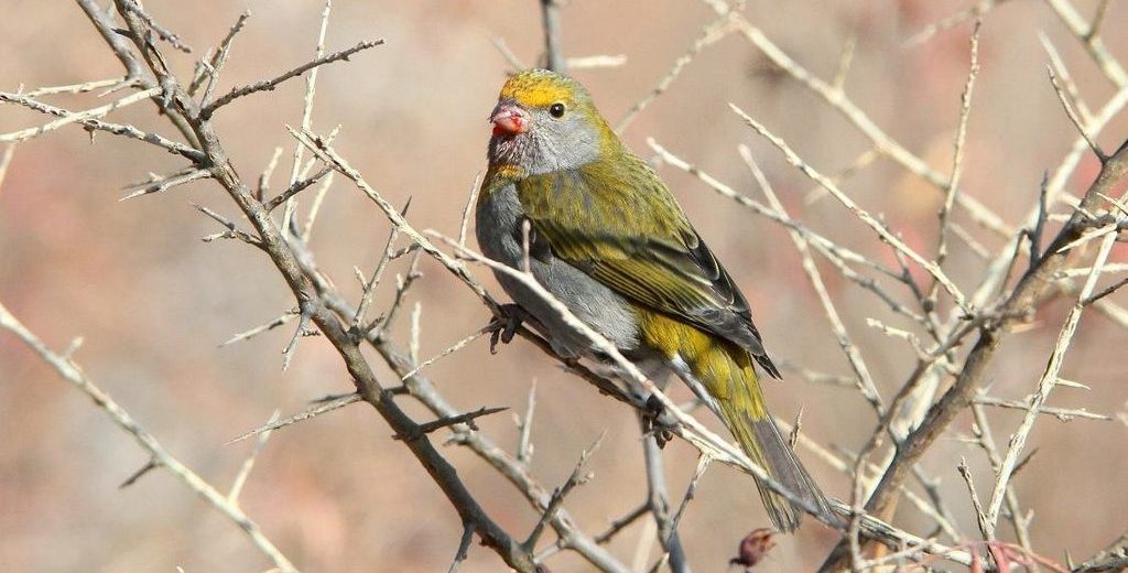 ��ü��ȸ������