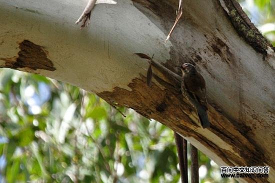 ��ü������ľȸ