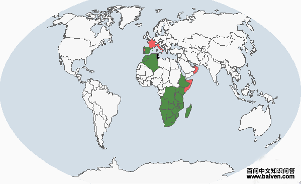 �����׹Ƕ�