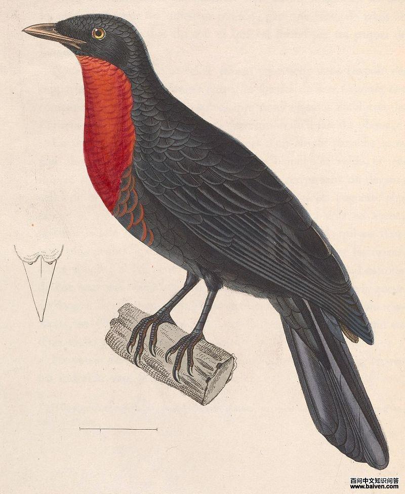 �����ɡ����̬����ͼ