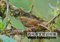 ������βȸ