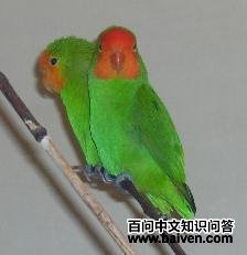 ����ĵ�����ĵ�ͼƬ