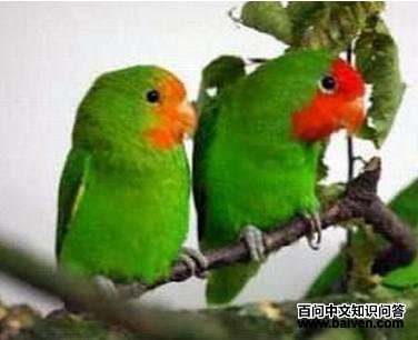 ����ĵ������