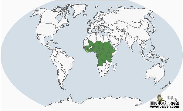 ����ĵ������