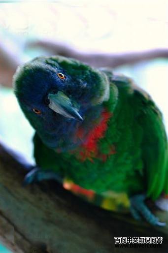 �쾱�������и��ͼƬ