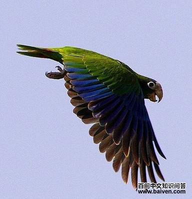 �쾱�������и�