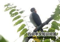 �쾱ȸӥ��ͼƬ