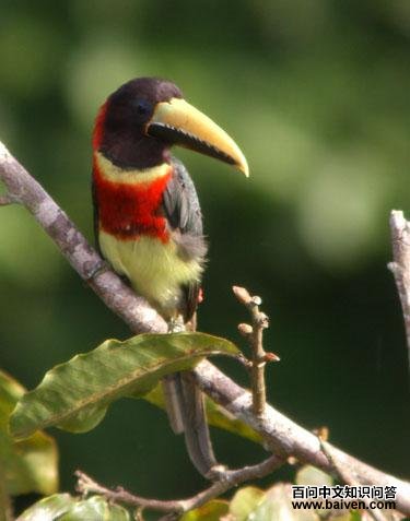 �쾱���������