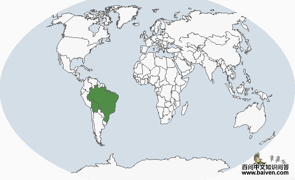 �쾱���������