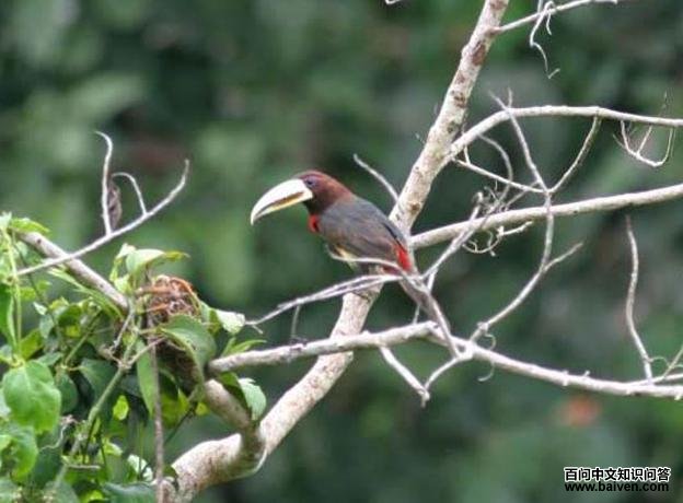 �쾱���������