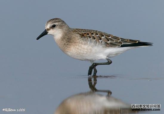 �쾱���֣��ǳ���