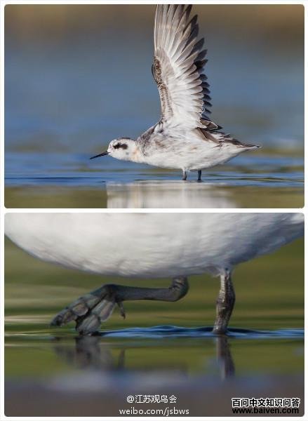 �쾱�����ֵĽ�