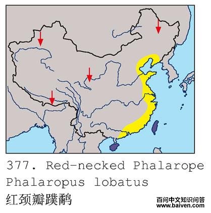 �쾱������