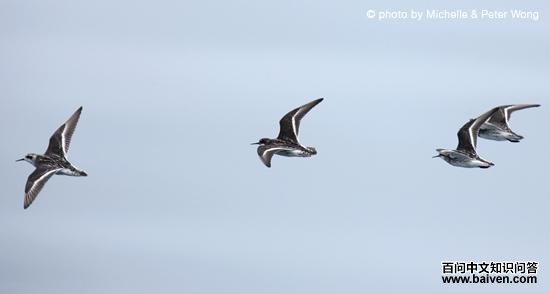 �쾱������