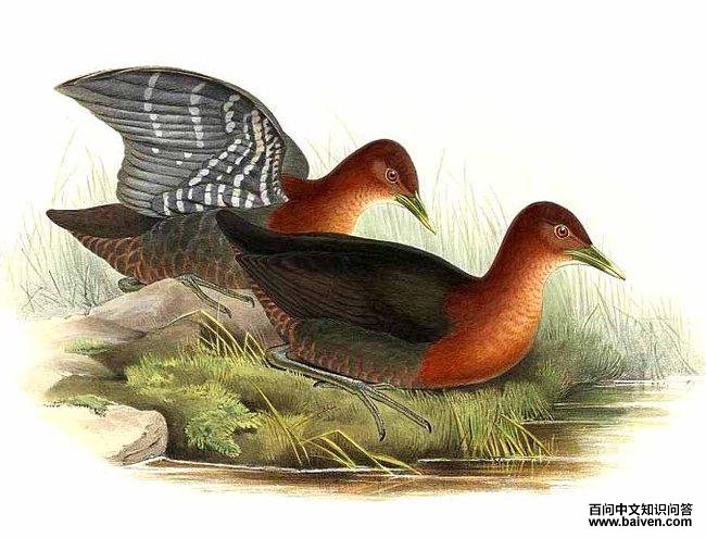 �쾱��������ͼƬ