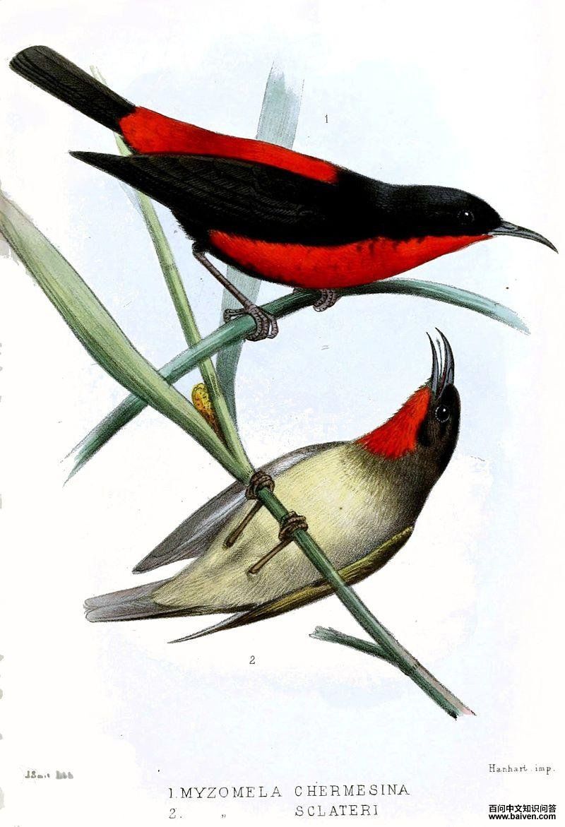 ����������ͼƬ