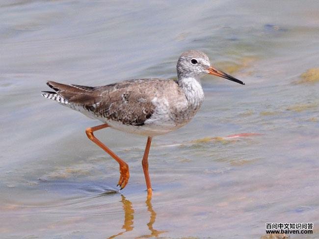 ����֣��Ƿ�ֳ��