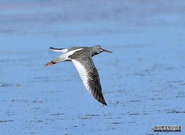 ����֣�����ͼ