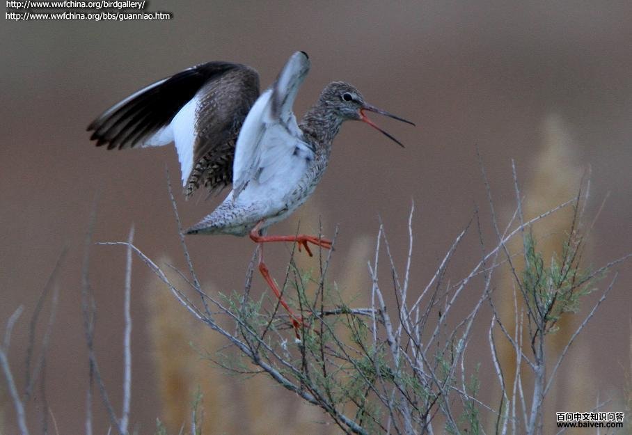 ����ַ���ͼ�����ס�����Ե��