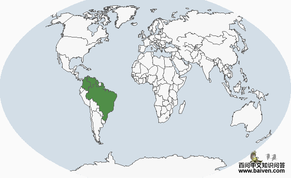 ���Ѩ[����]��ͼƬ