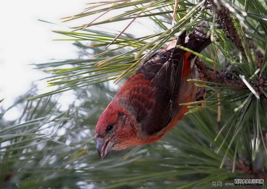 �콻��ȸ����Ӱ����2012.12.30