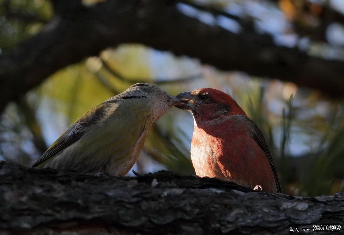 �콻��ȸ��ͼƬ