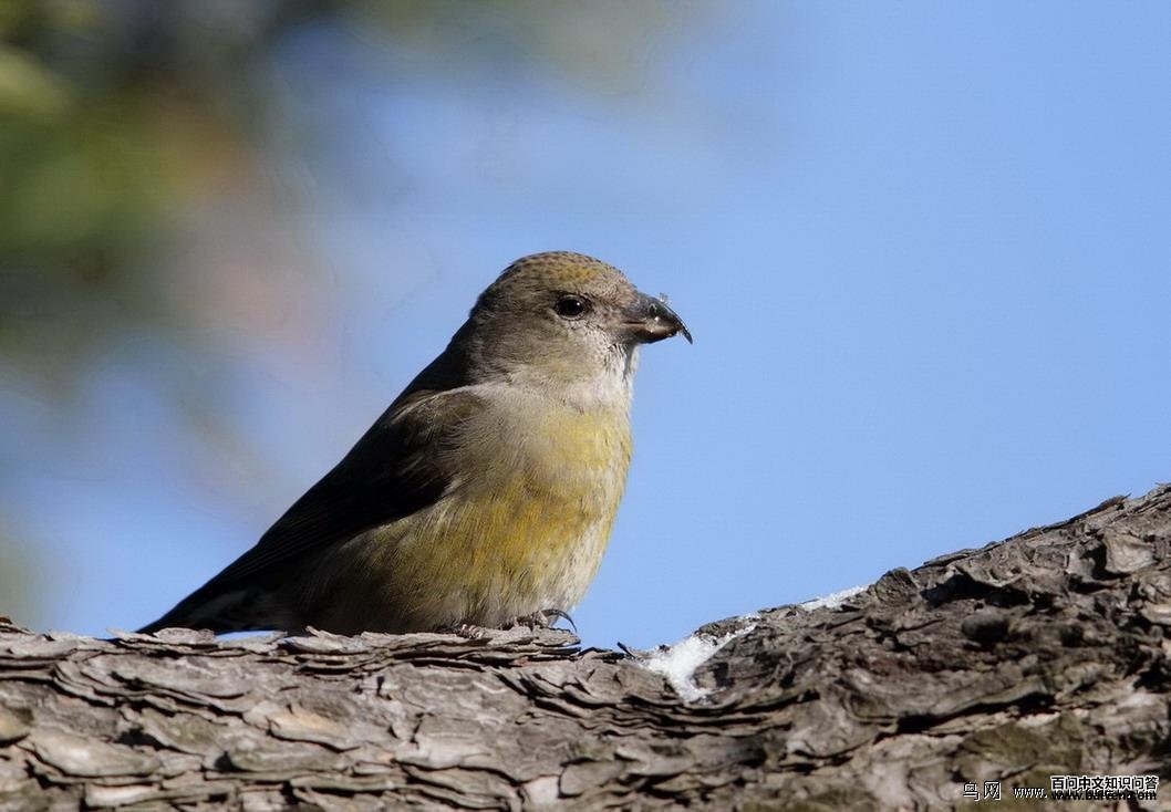 �콻��ȸ����Ӱ����2012.12.30