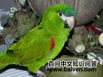 ��������ĵ�ͼƬ