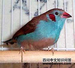 �������ȸ